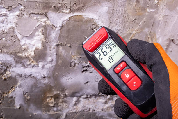 Best Localized Mold Remediation (e.g., coastal areas, humid climates) in Orland Hls, IL