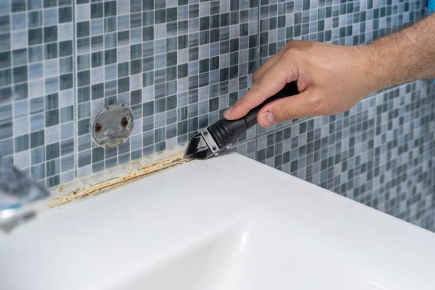 Orland Hills, IL Mold Remediation Company